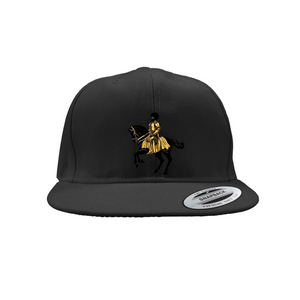 AO Snapback Caps LG