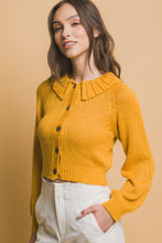 Load image into Gallery viewer, Short collard sweater