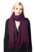 Load image into Gallery viewer, Fashion Basic Blanket Scarf