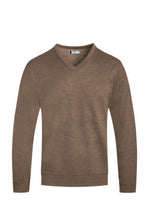 Load image into Gallery viewer, Solid V-neck Sweater