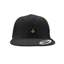 Load image into Gallery viewer, AO Snapback Caps Sm