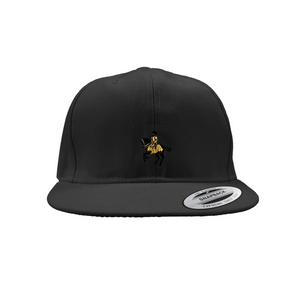 AO Snapback Caps Sm