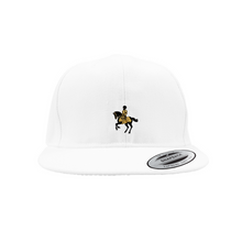 Load image into Gallery viewer, AO Snapback Caps Sm