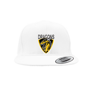 AACC DRAGONS Snapback Caps