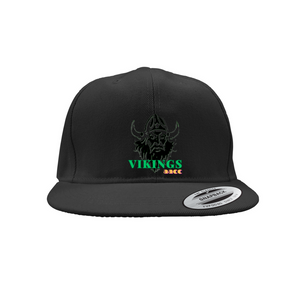 AACC Vikings Snapback Caps