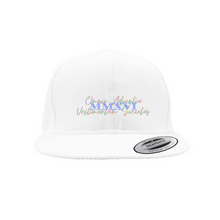 Load image into Gallery viewer, AACC / OAVS Est. Snapback Caps