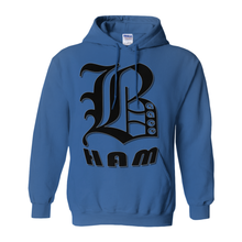 Load image into Gallery viewer, BHAM aacc Hoodies